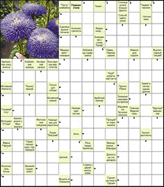 Сканворд №57 «Травянистая звезда»